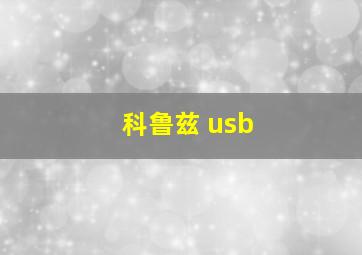 科鲁兹 usb